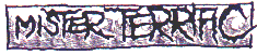 misterterrific.gif (5608 byte)